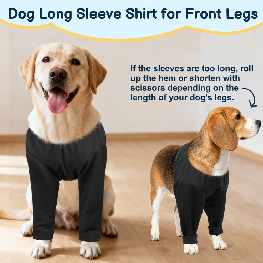 BARKLESS design sans pattes autorise la liberté tout en protégeant.