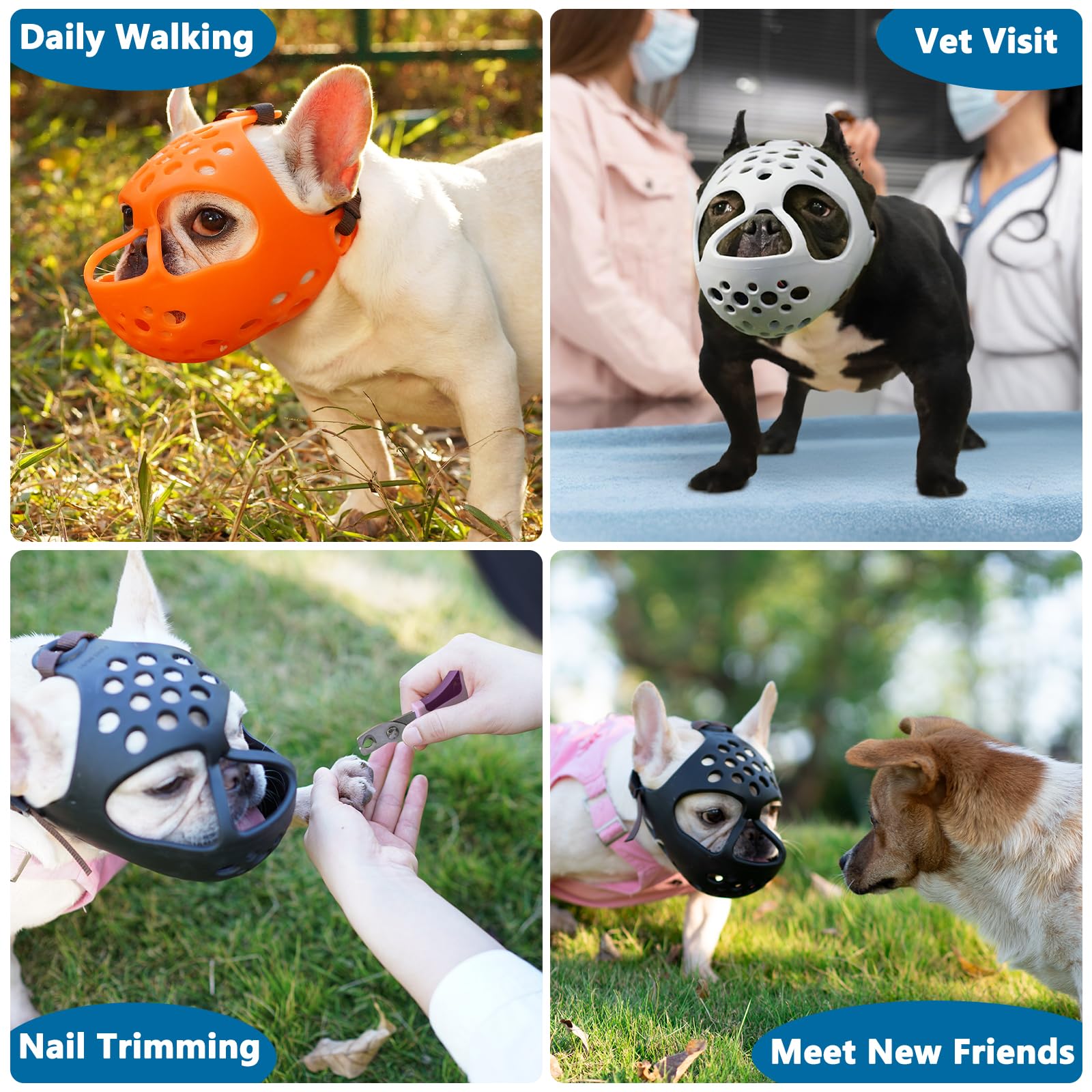 Guide de taille Barkless: mesurez la circonférence de la tête.