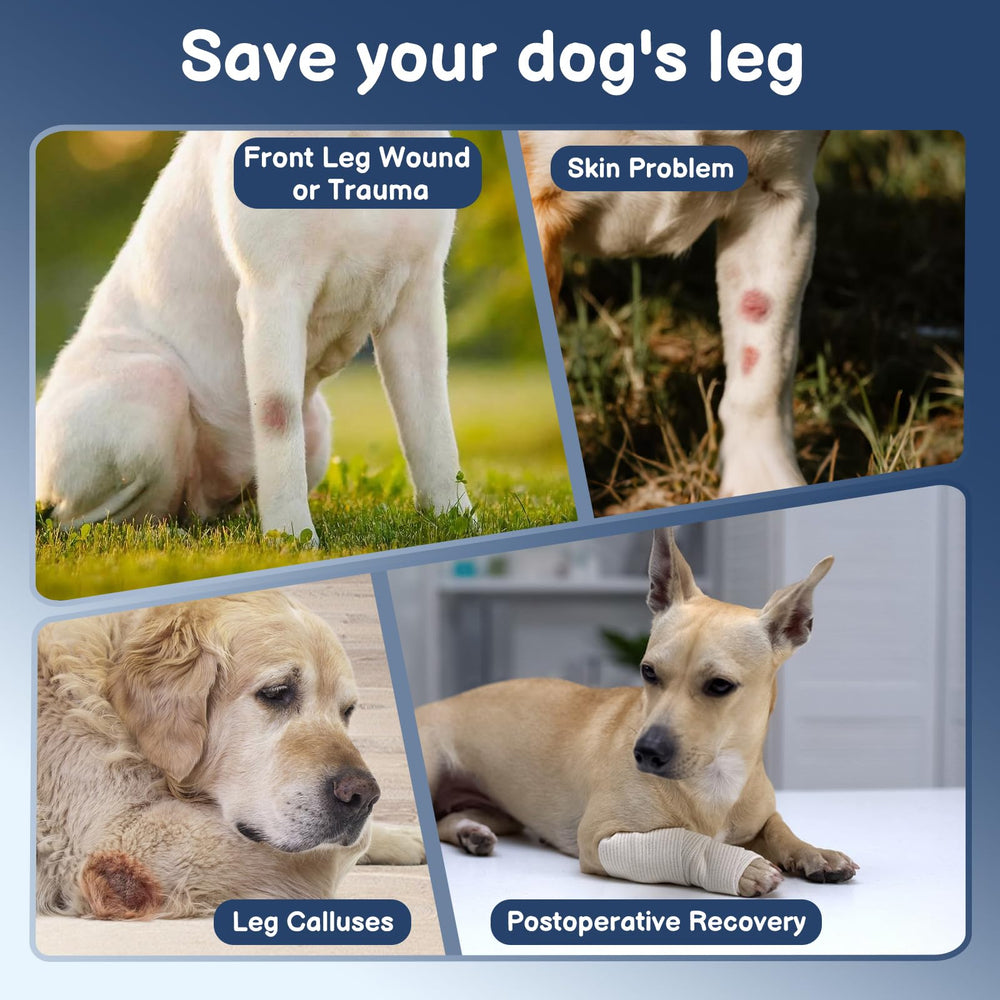 BARKLESS lavage facile et durable, prêt pour réutilisation.