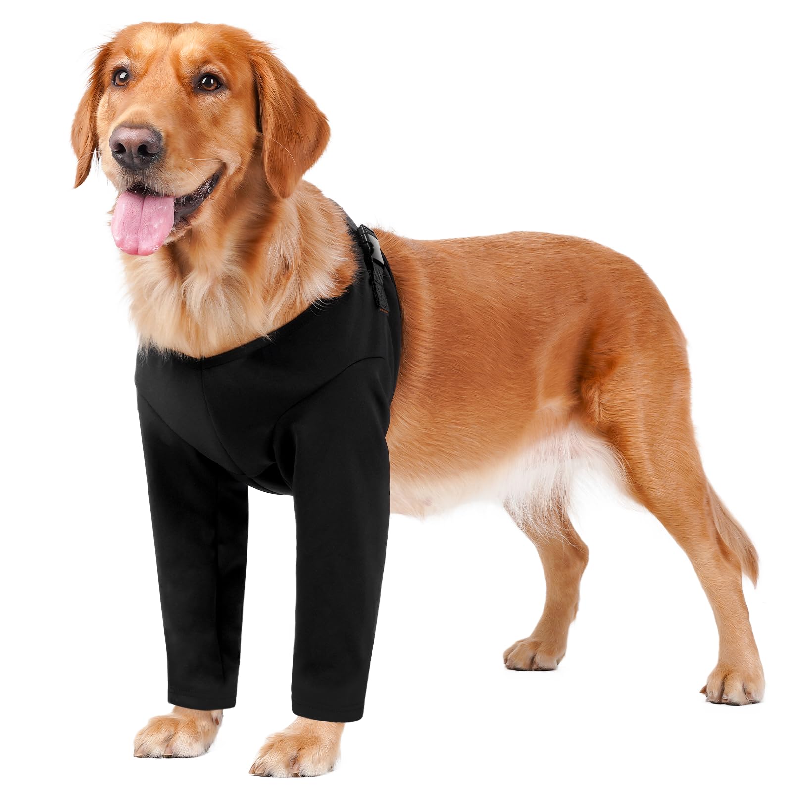 BARKLESS manchon-avant-chien protection ciblée des plaies et confort lors de récupération