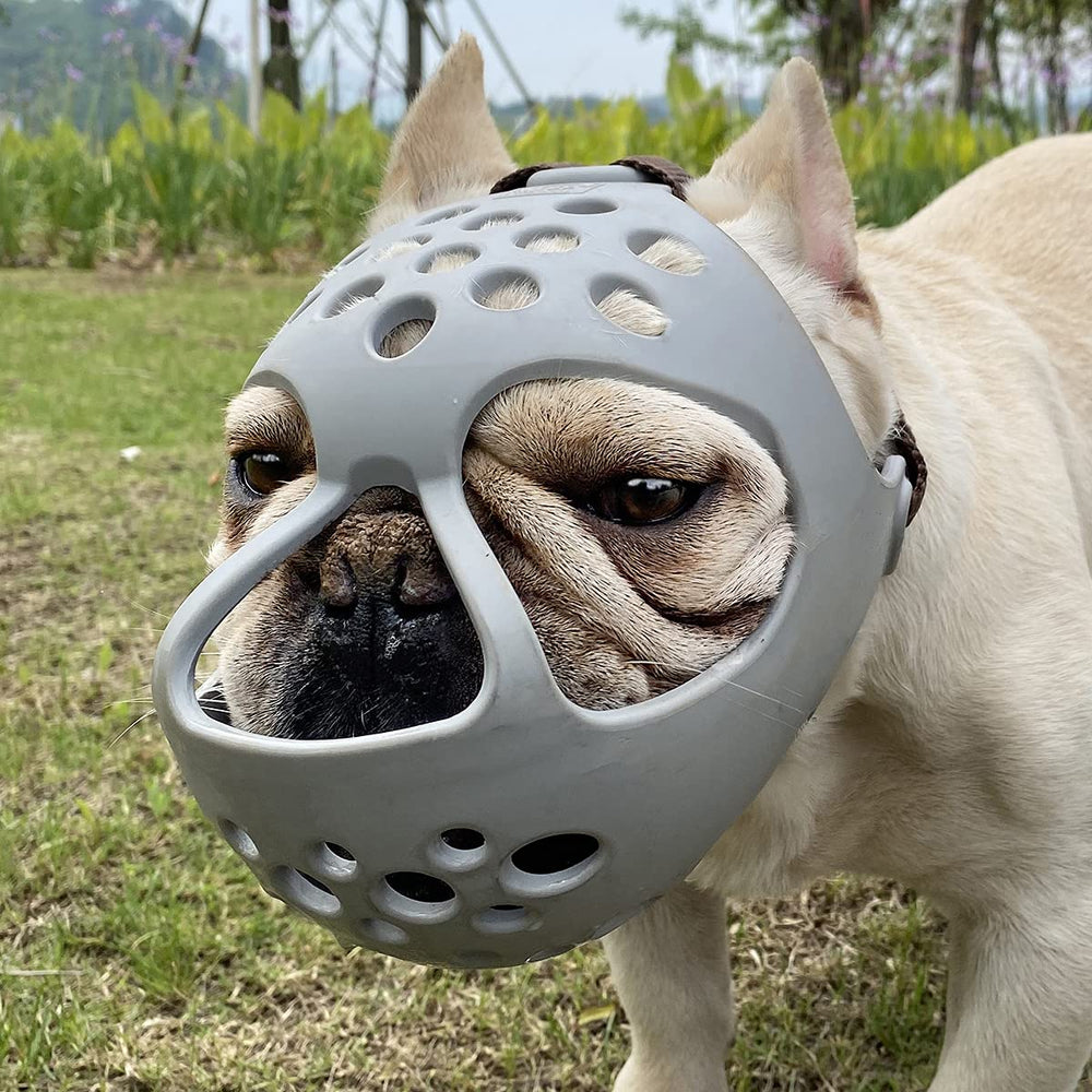 BARKLESS masque-museau-court Bouledogue Français : confort durable lors des promenades.