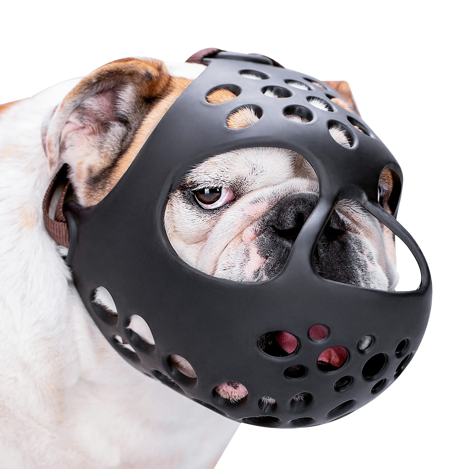 BARKLESS museau-face-plat-silicone-doux: confort et respiration douce pour chiens brachycéphales