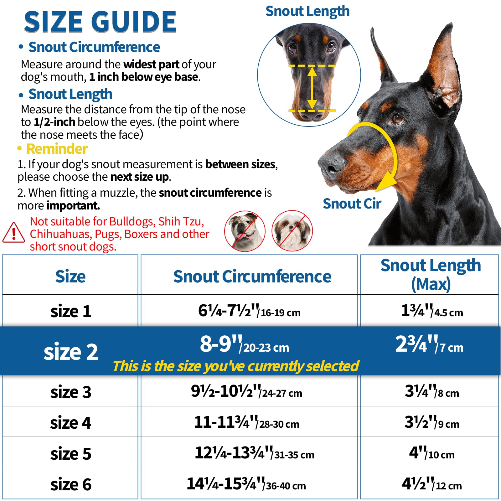 BARKLESS Museliere Panier mesures: guide précis pour un ajustement optimal.