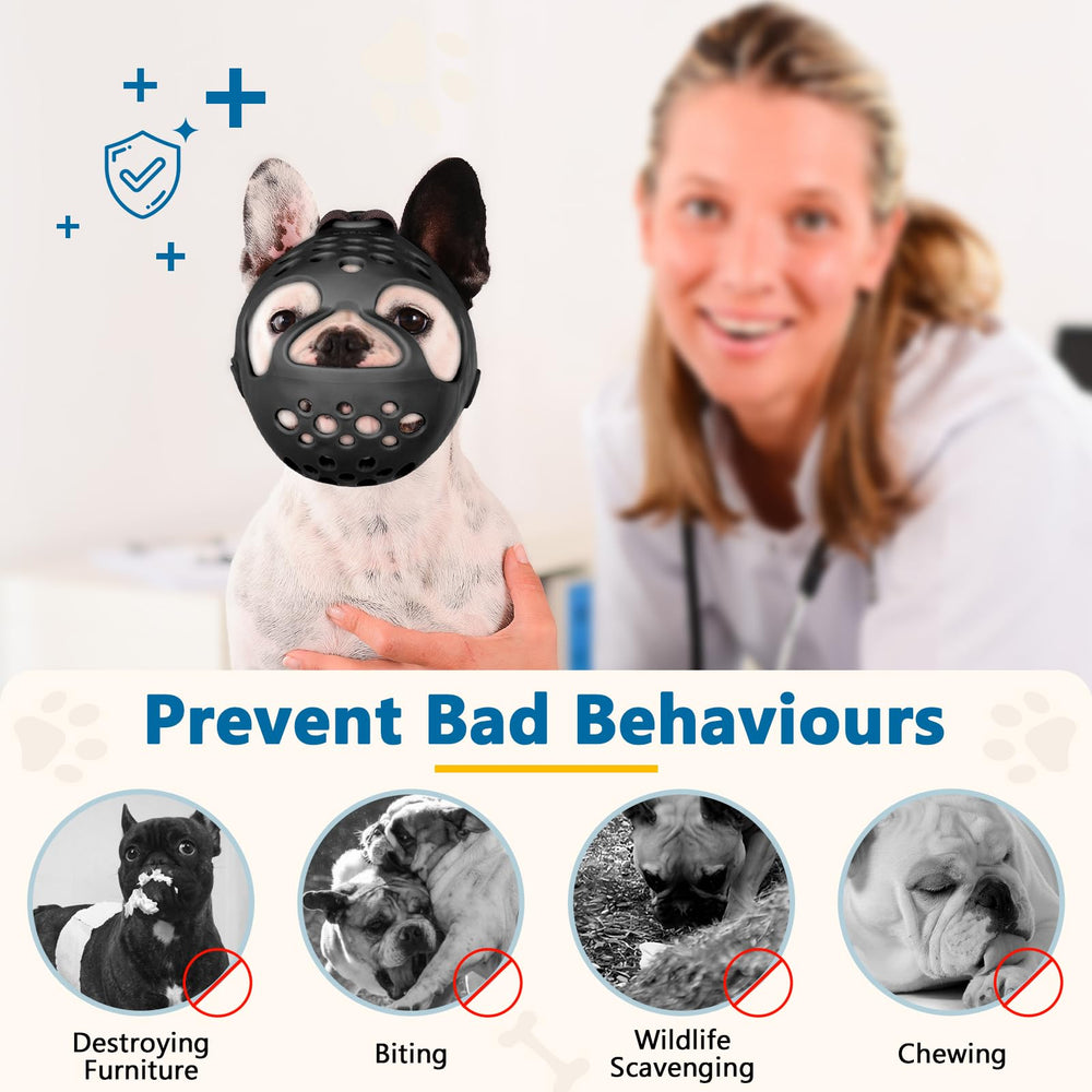 BARKLESS nettoyage-eau-simple: nettoyage rapide et sans résidus après usage