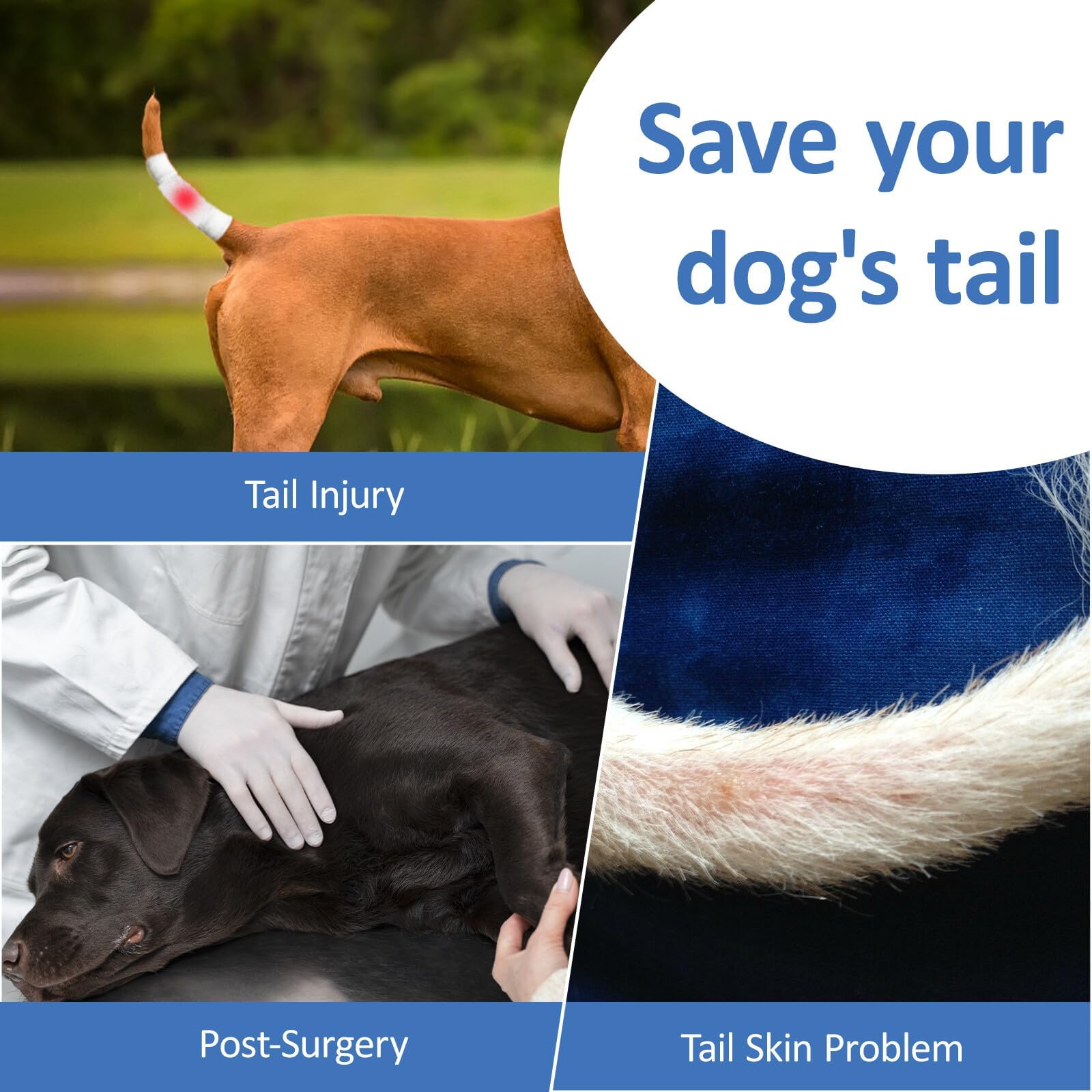 BARKLESS utilisation portable pour voyage et promenade.