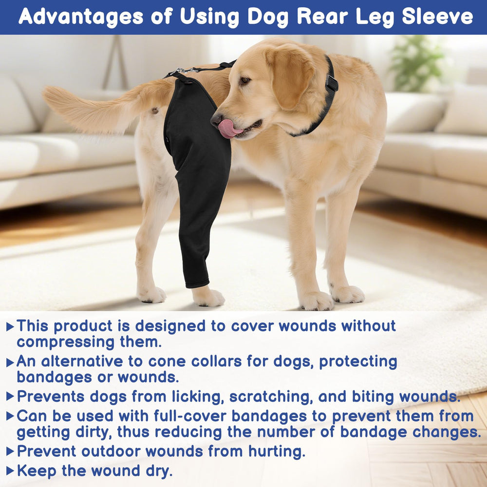 Conçu par Barkless: protection légère et durable.
