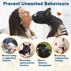 Sangle réglable Barkless assure un ajustement sûr pour bouledogue anglais.