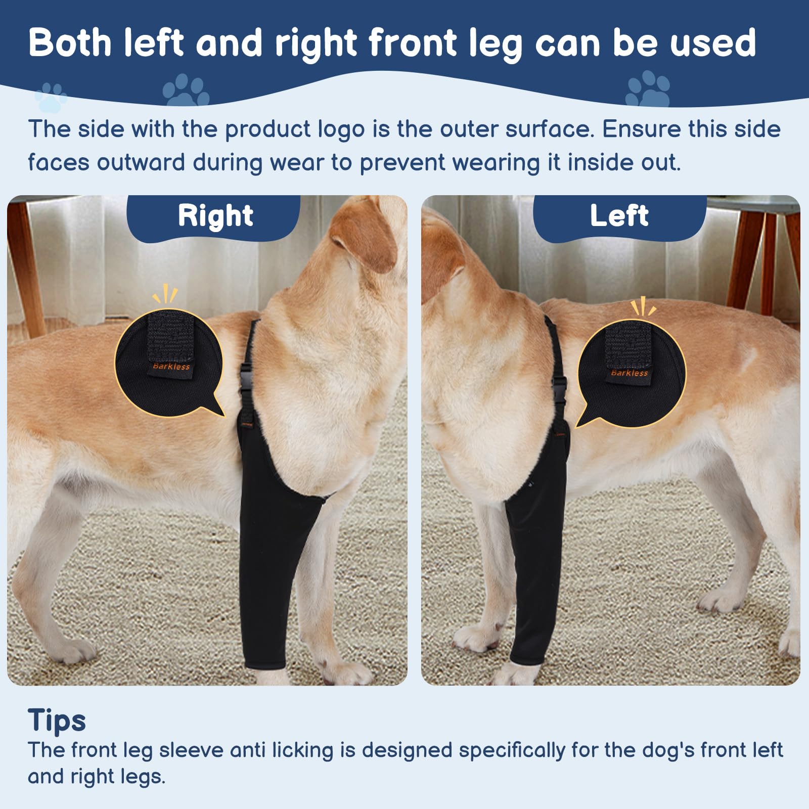 BARKLESS veste-recup patte avant essai montre une protection efficace.