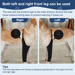 BARKLESS veste-recup patte avant essai montre une protection efficace.