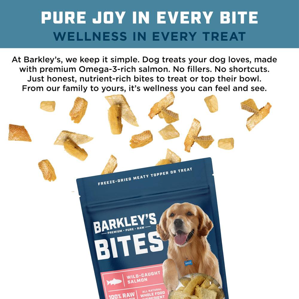 Barkleys Bag Saumon Bites – bouchées pour garniture de repas et apport protéique.
