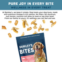 Barkleys Bag Saumon Bites – bouchées pour garniture de repas et apport protéique.