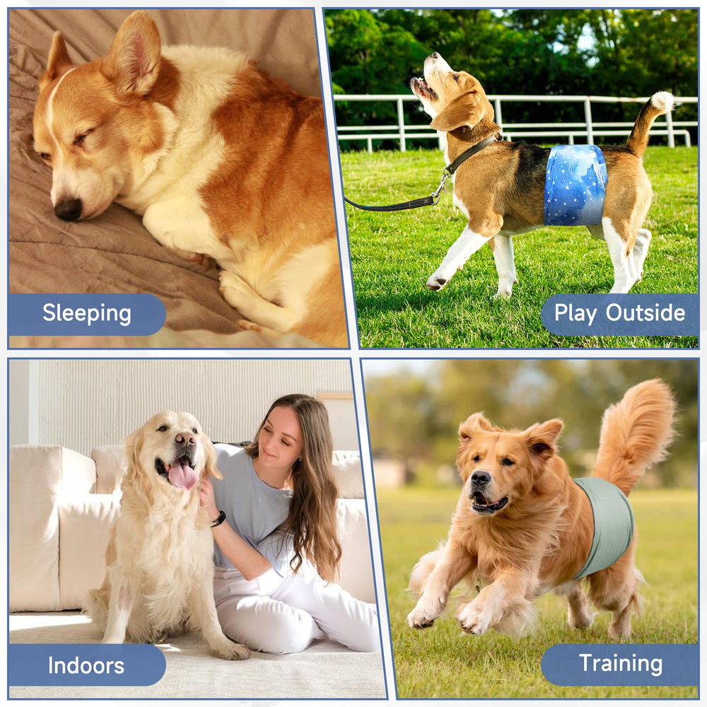 Kit Barklincharm couches chien male XXL prêt à l’emploi et économique