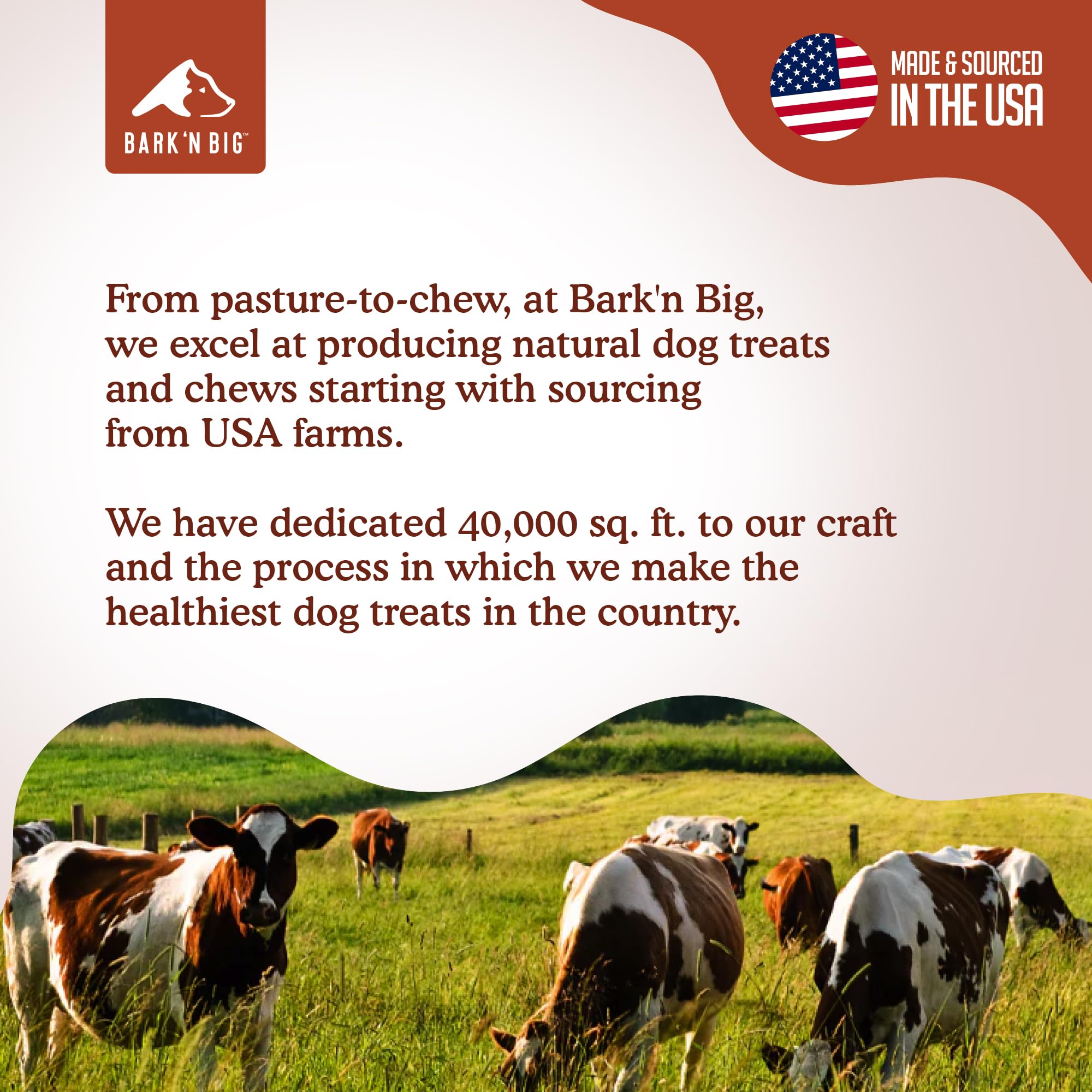 Utilisation polyvalente du BARK'N BIG Bison Lung pour toutes tailles.