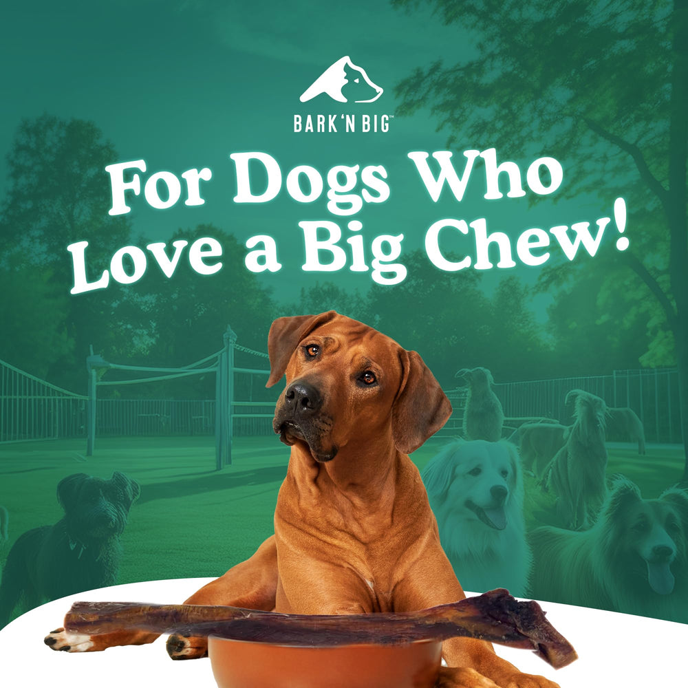 BARK'N BIG Bully Stick 119 g, ingrédient unique et digestibilité.
