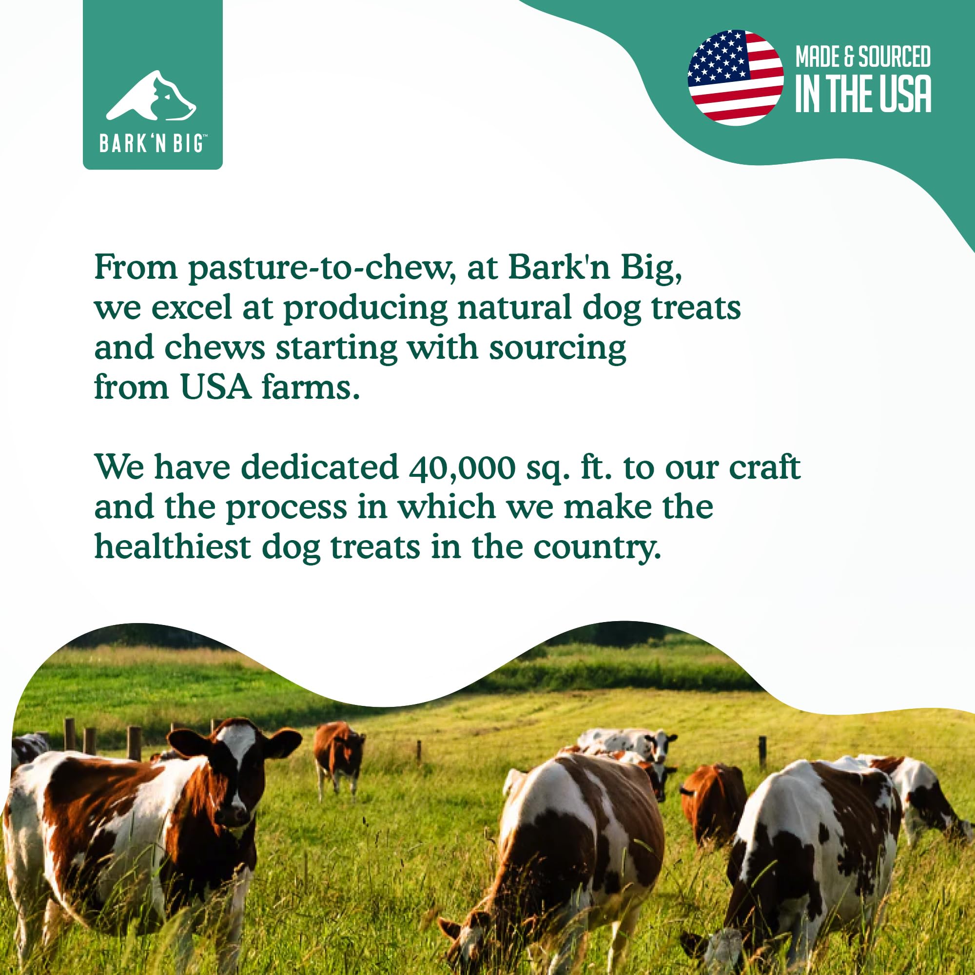 Utilisation sûre et supervisée, diversion saine pendant les jeux et promenades.