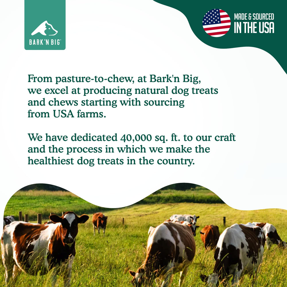 BARK'N BIG os de jarret fumé, sans additifs, pour chiens robustes