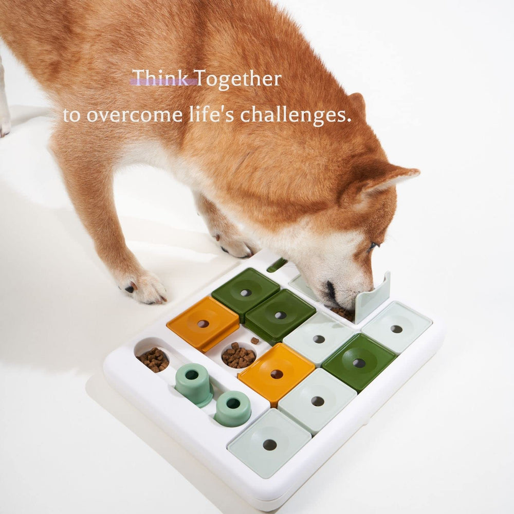Chien en action avec Barkwhiz, jeu interactif stimulant.