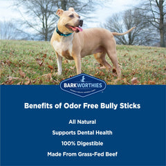 Barkworthies baton a m acheter sans odeur 6 pouces usage quotidien.