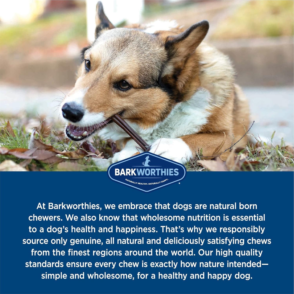 Barkworthies Batons Bully sans odeur, idéal pour l'entraînement.