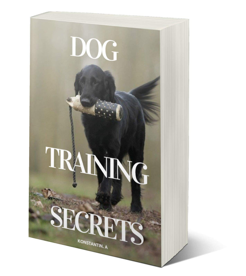 E-book exclusif Secrets de Dressage Canin inclus avec Barkworthies
