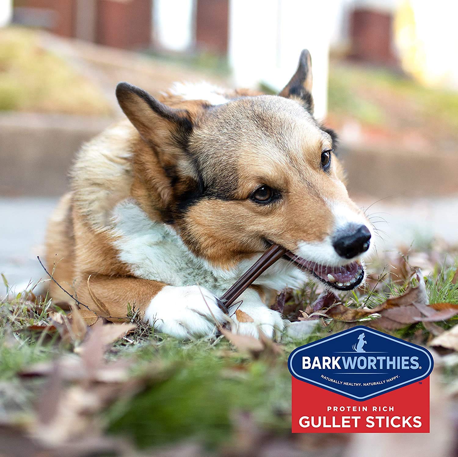 Barkworthies bâtons d'œsophage de bœuf, sans additifs, aspect naturel