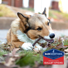 Barkworthies bâtons d'œsophage de bœuf, sans additifs, aspect naturel
