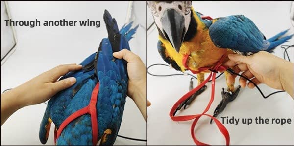 Matière nylon Barn Eleven douce et résistante pour plumage.