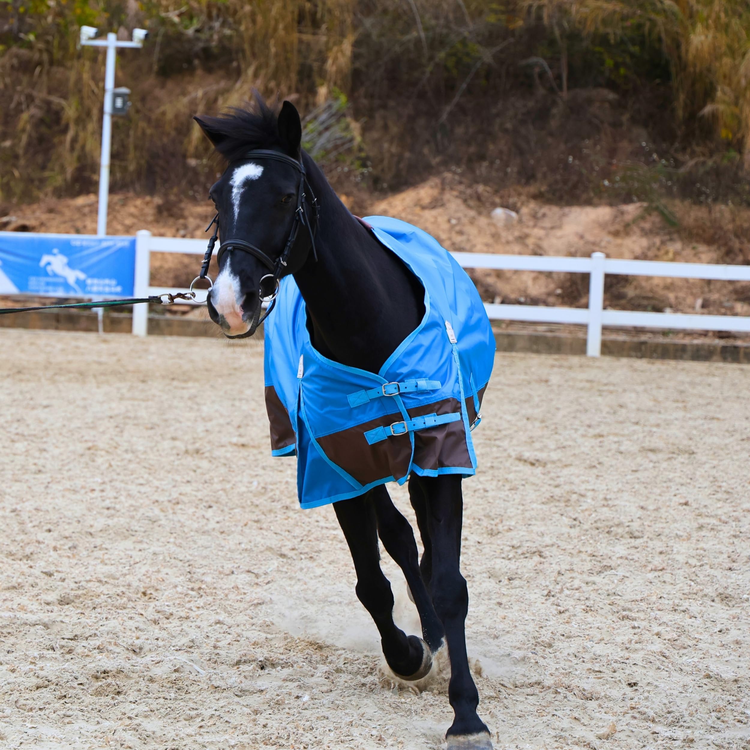 Drap imperméable et respirant BARN & STABLE pour sorties sous pluie légère.
