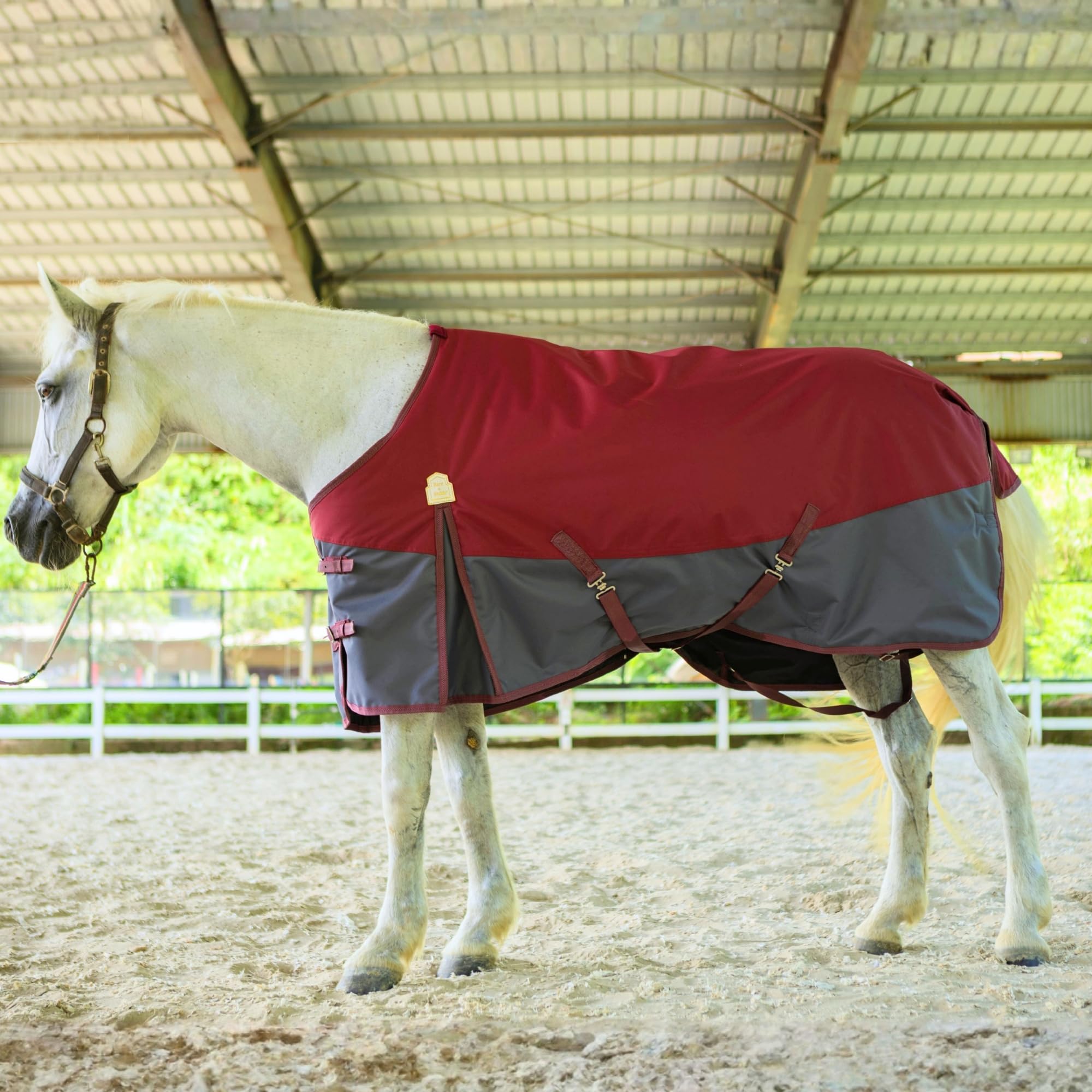 Sangles de jambe amovibles pour une installation rapide et ajustable.