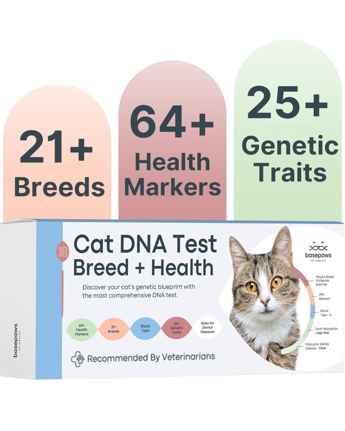 Basepaws kit-dna-chat: aperçu visuel du kit pour une identification facile.