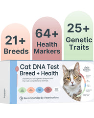 Basepaws kit-dna-chat: aperçu visuel du kit pour une identification facile.