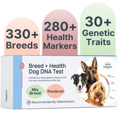 Basepaws kit ADN chien emballage: prêt à l’emploi pour commencer le test.