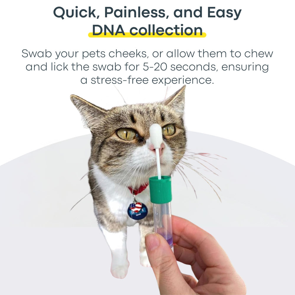 Basepaws traits-genetiques-chat: comparaison de 114 caractéristiques pour comprendre le profil.