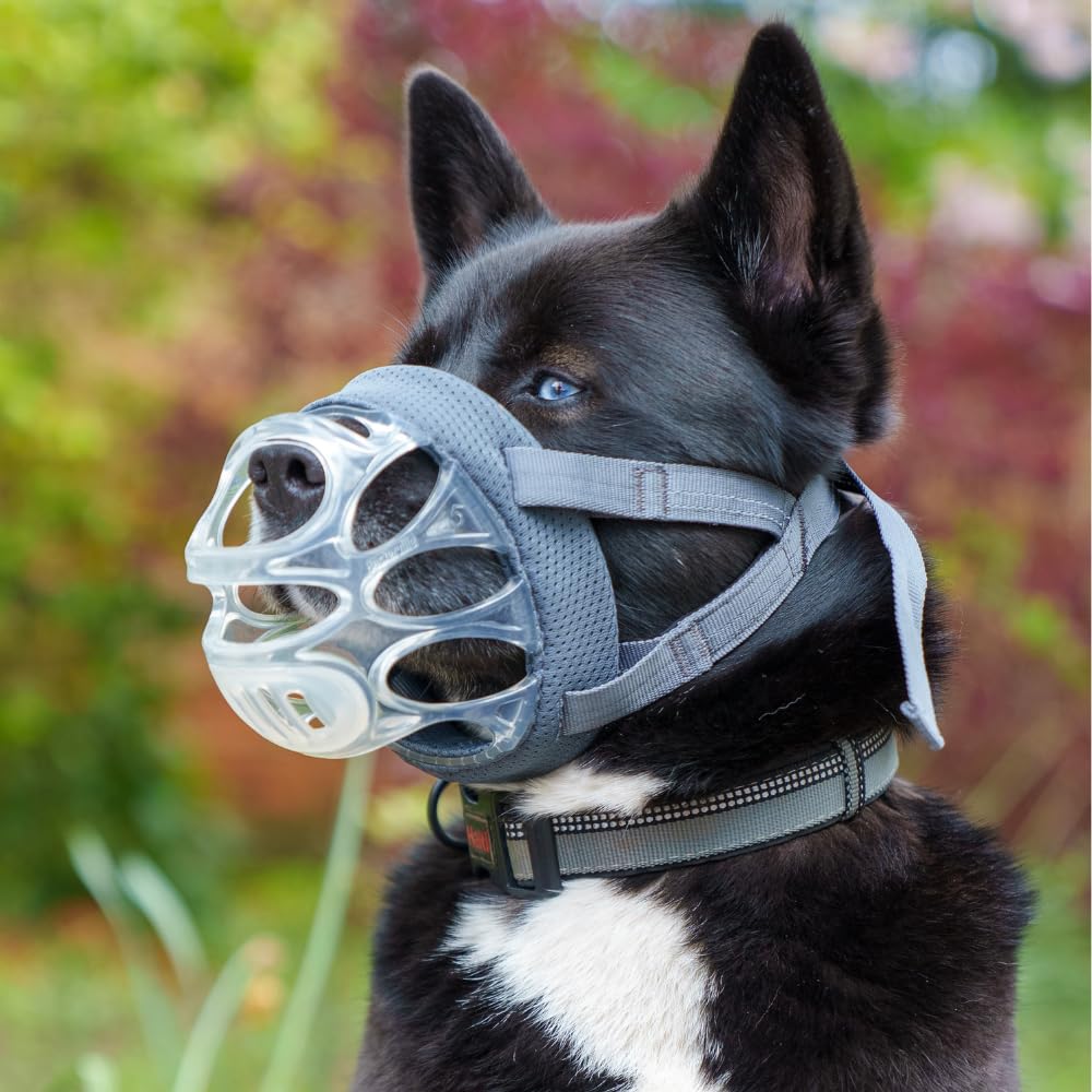 Baskerville INVISA masque chien rembourrage 360 pour un confort durable.