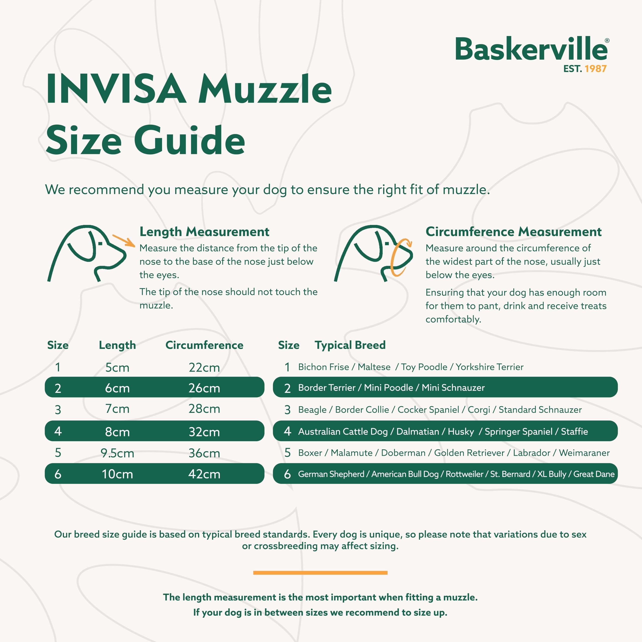 Baskerville INVISA idéale pour chiens réactifs lors des sorties et entraînements.
