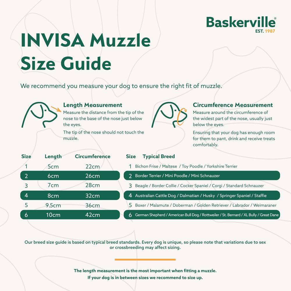 Baskerville INVISA idéale pour chiens réactifs lors des sorties et entraînements.