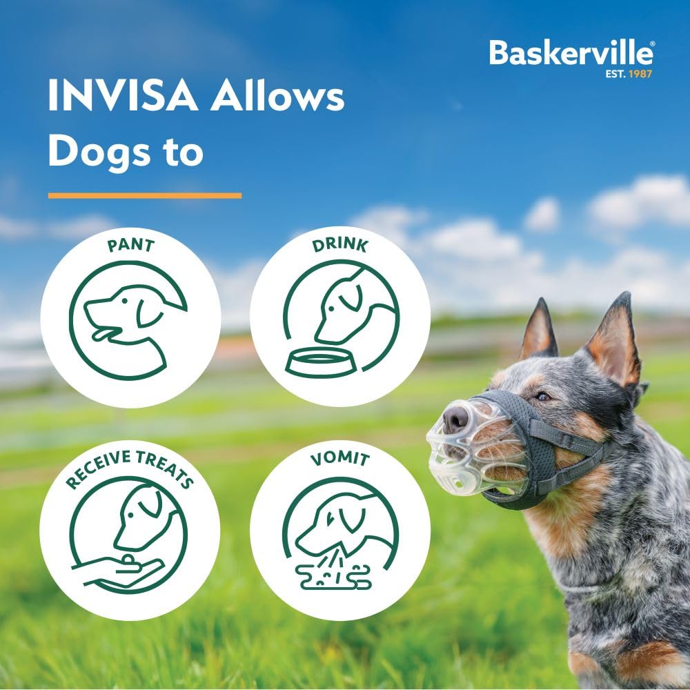 Baskerville INVISA permet au chien de boire et haleter confortablement pendant les sorties.