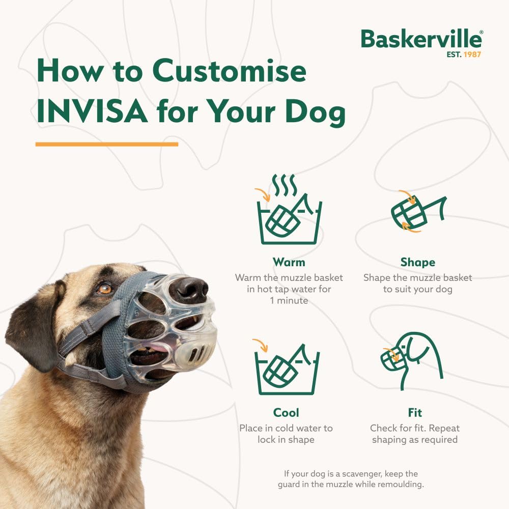 Baskerville INVISA sangles-reflechissantes: sécurité et visibilité accrue en soirée.