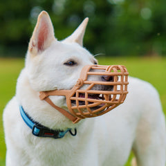 Baskerville masque-panier classique, profil-chien, montre ajustement rapide pour un port quotidien.