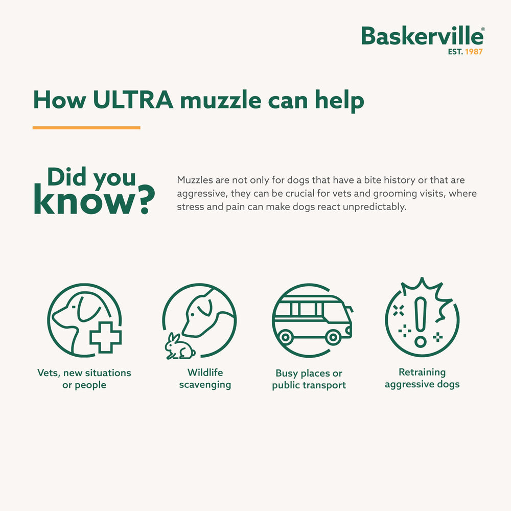 Museau Baskerville Ultra, idéal pour chiens réactifs pendant l’entraînement.