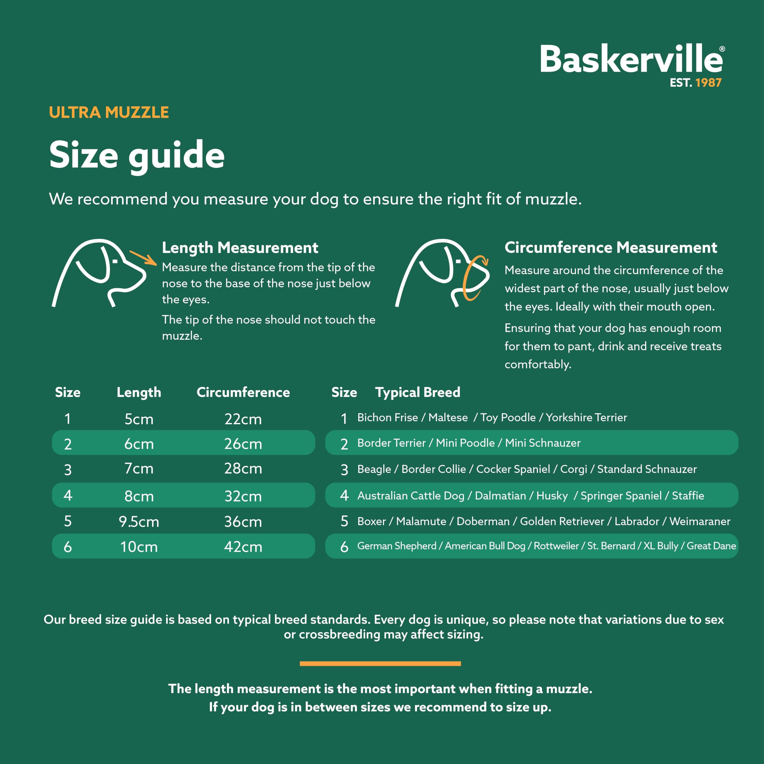 Museau Baskerville Ultra, sécurité renforcée par les clips et attaches.