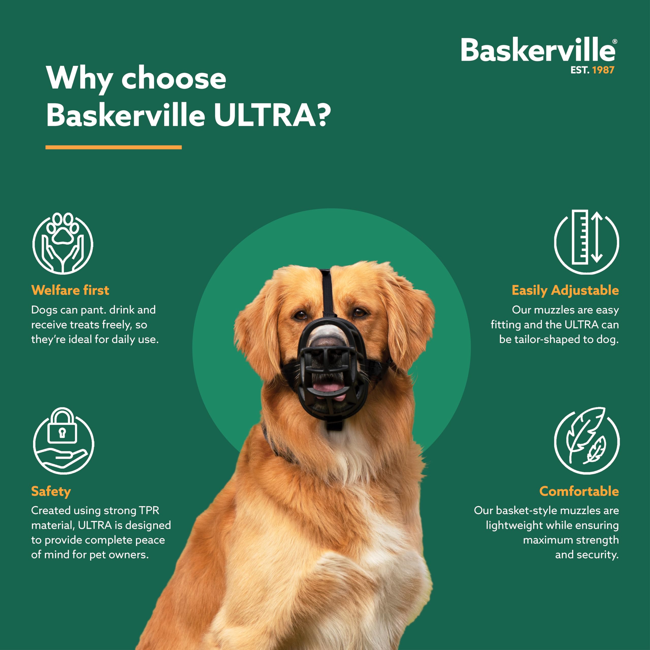 Baskerville Ultra Muzzle, attache-cou et harnais compatibles pour sécurité renforcée.
