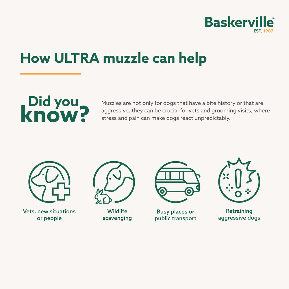 Baskerville Ultra Muzzle, rembourrage confortable pour un port prolongé et agréable.