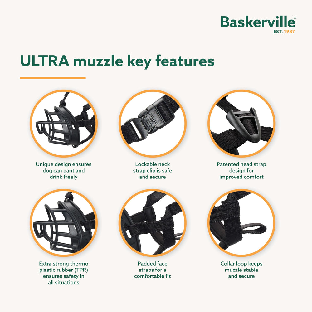 Baskerville Ultra Muzzle permet haleter et boire lors des sorties.