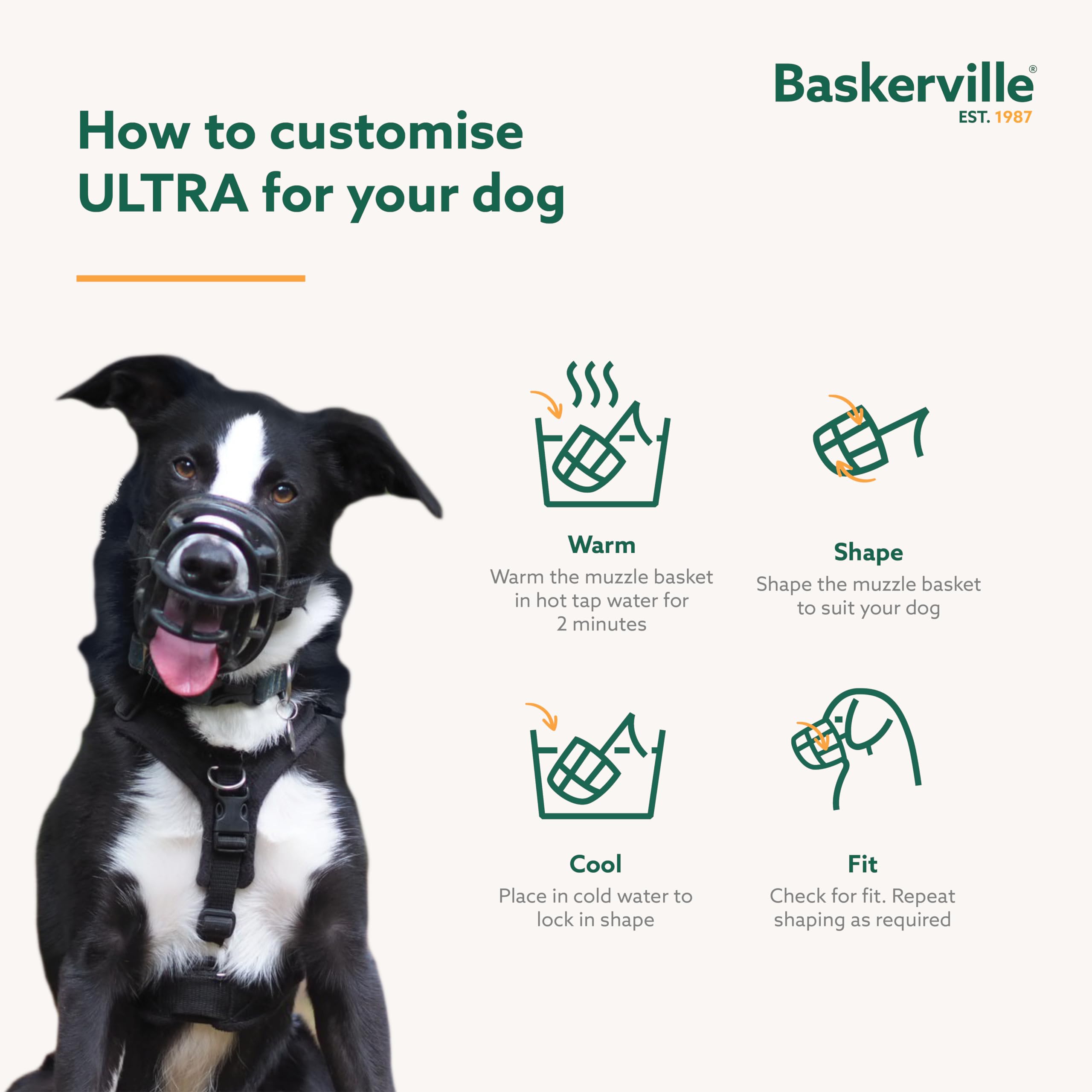Baskerville Ultra Muzzle – sécurité renforcée avec attache-cou sécurisée.