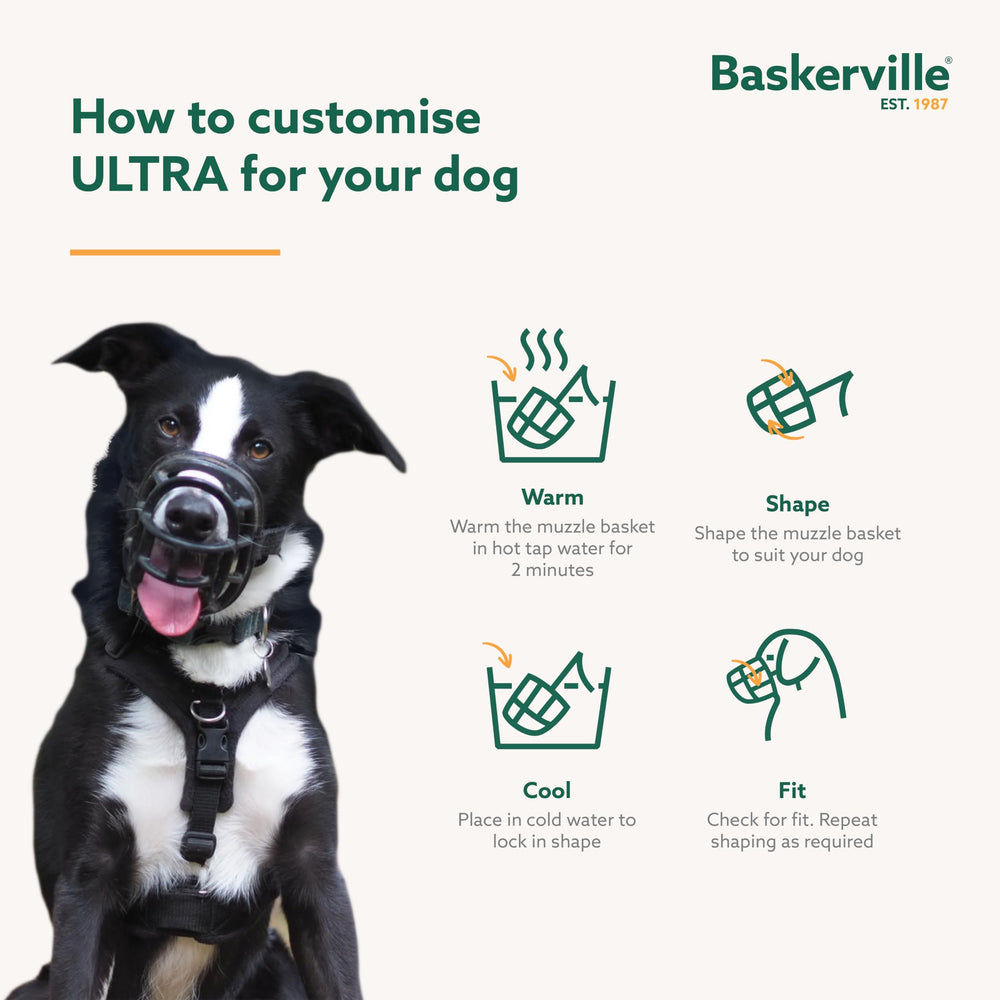 Baskerville Ultra Muzzle – usage quotidien socialisation, visites veterinaires et toilettage sécurisés