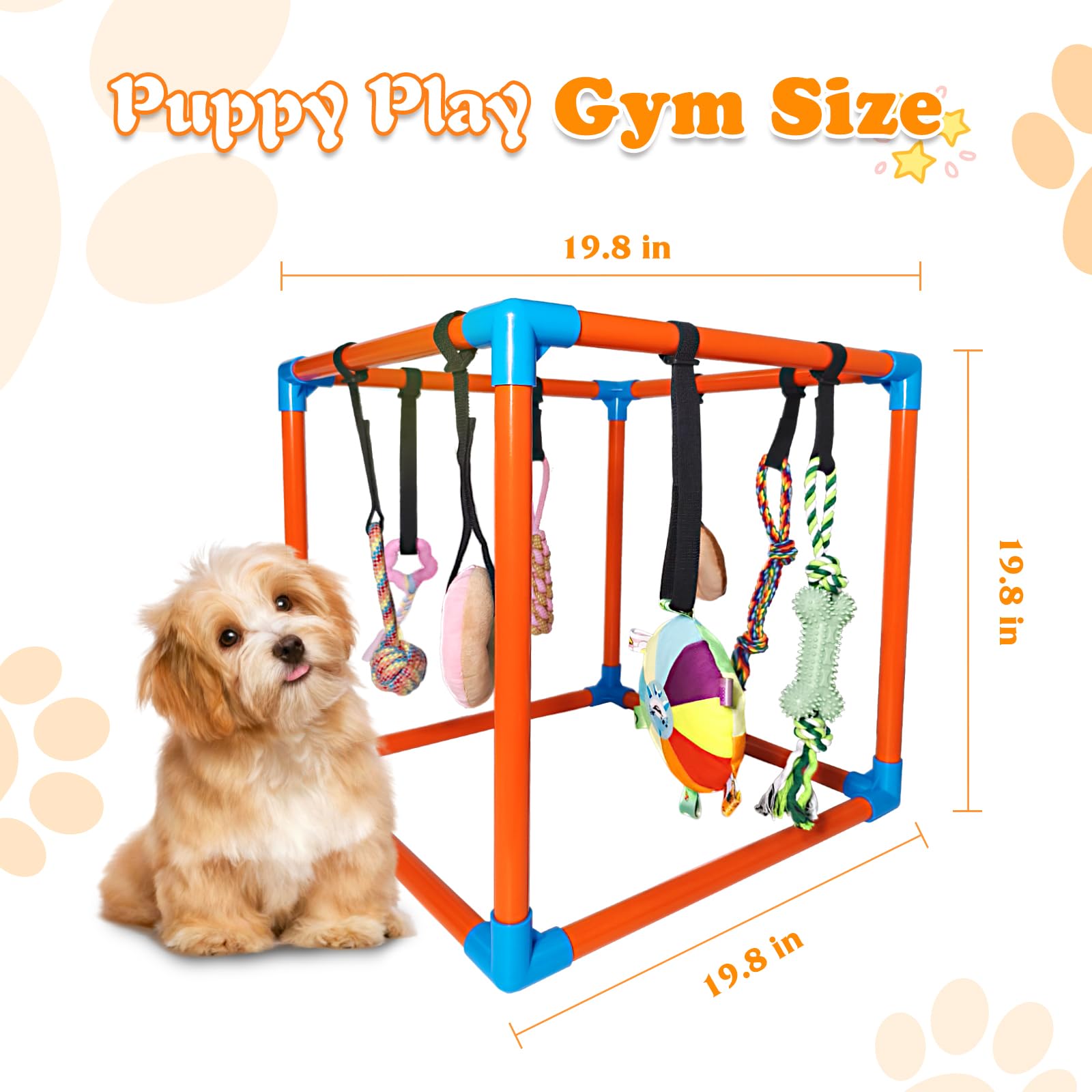 BASTIPETA sangles elastiques: hauteur ajustable pour chiot qui grandit.