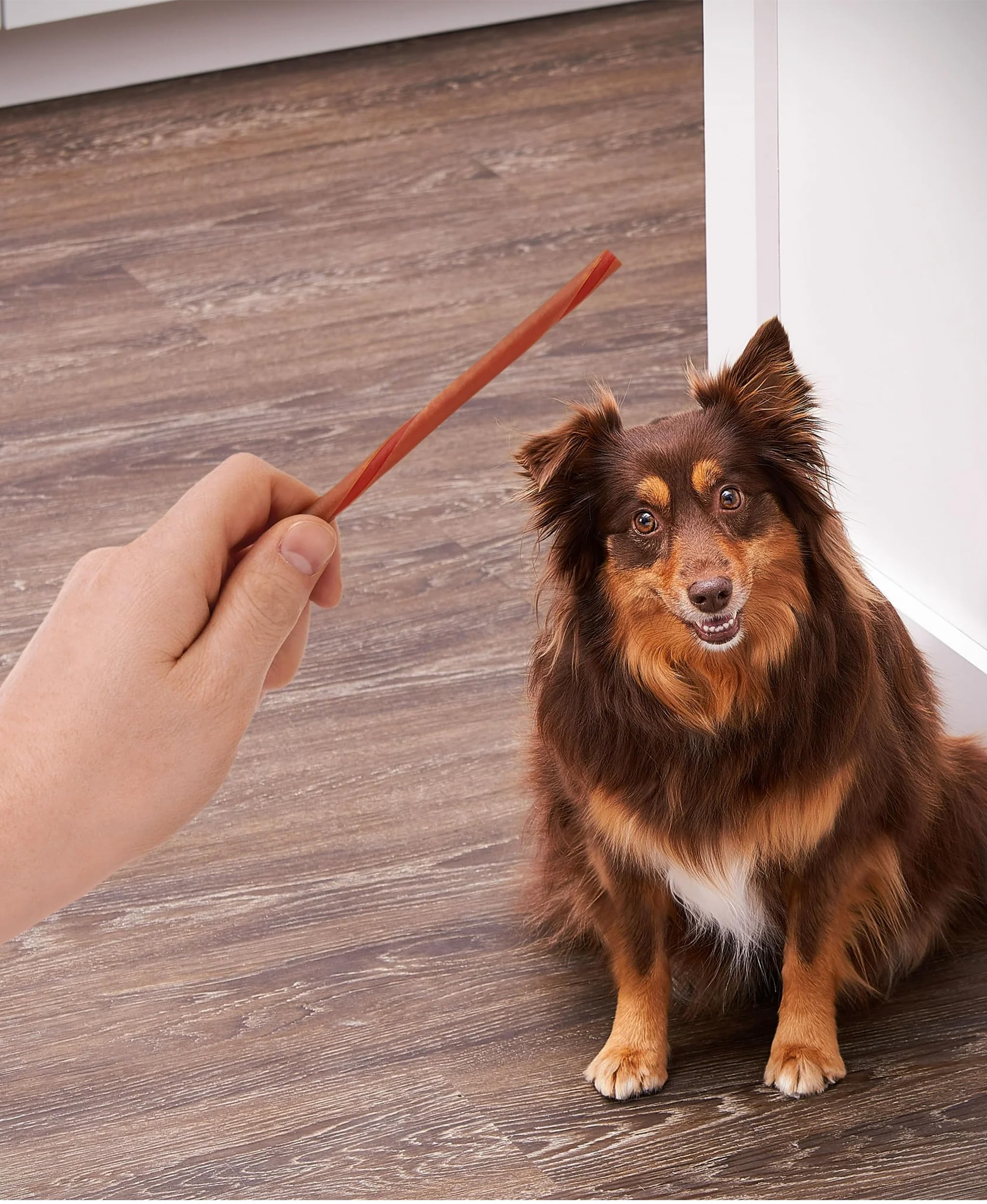Texture moyenne offrant une mastication durable pour chiens de toutes tailles.
