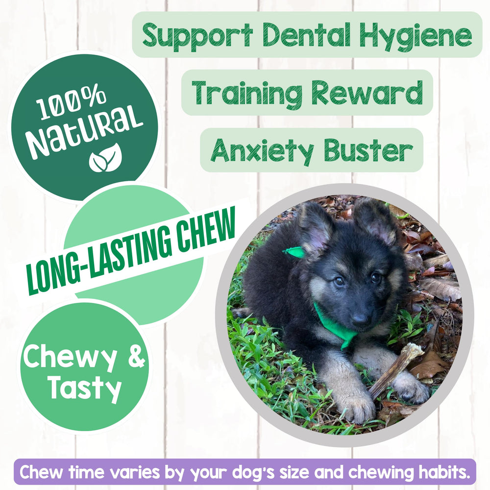 Bâtons Nature Gnaws sans odeur, alternative naturelle aux friandises.