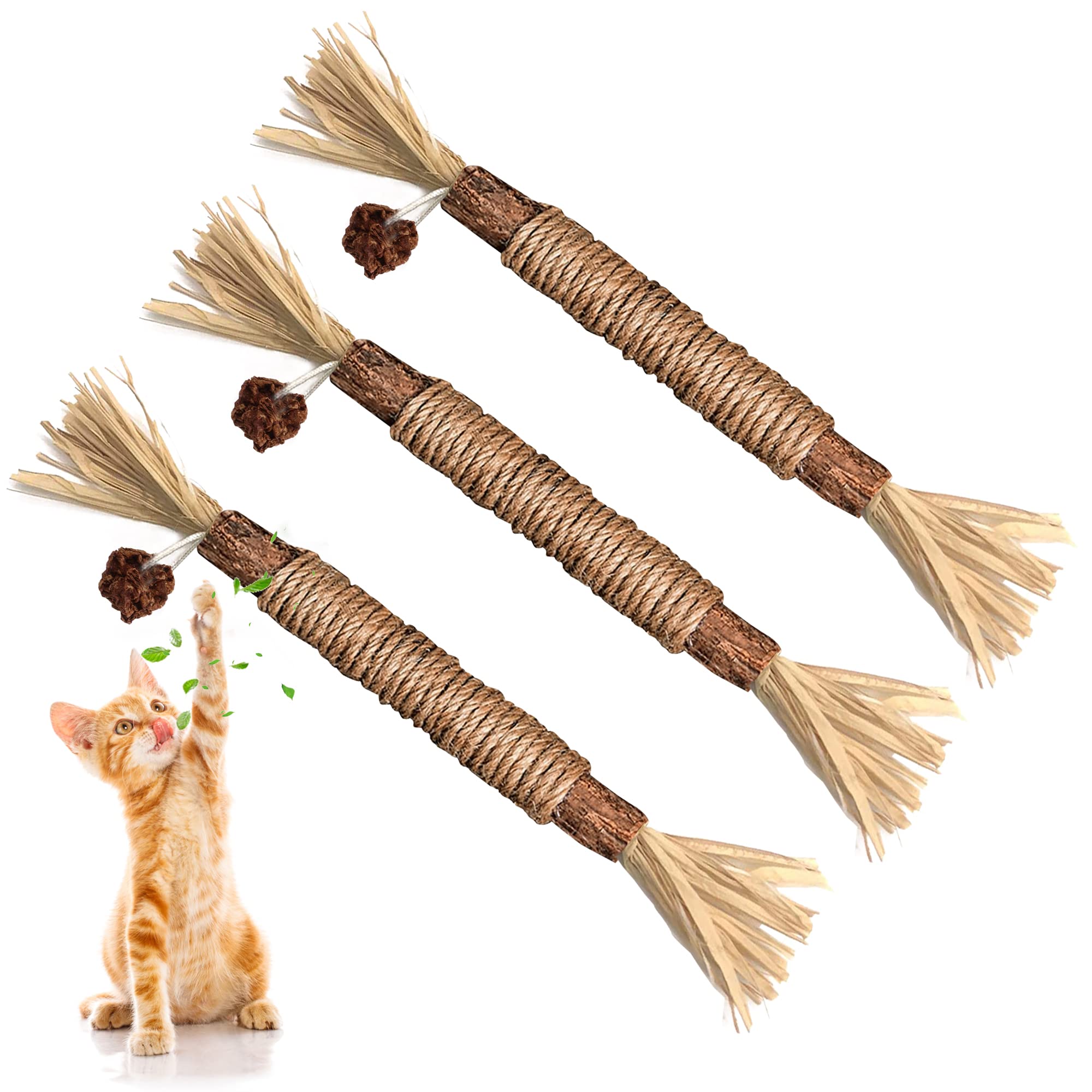 BAWAN GBSYU baton-silvervine-chat: baton stimulant dentaire et relaxation pour chat.
